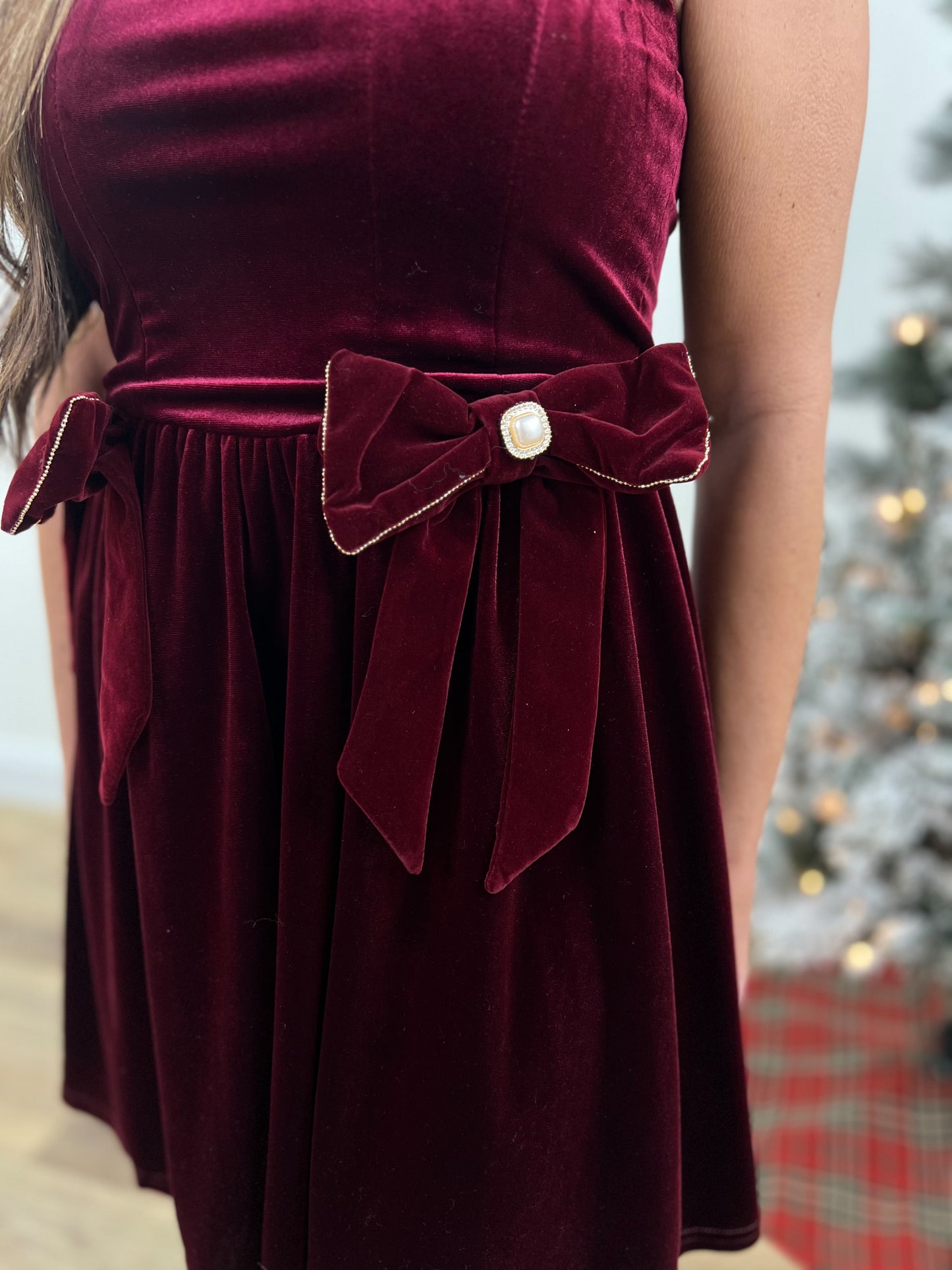 Bejeweled Velvet Dress