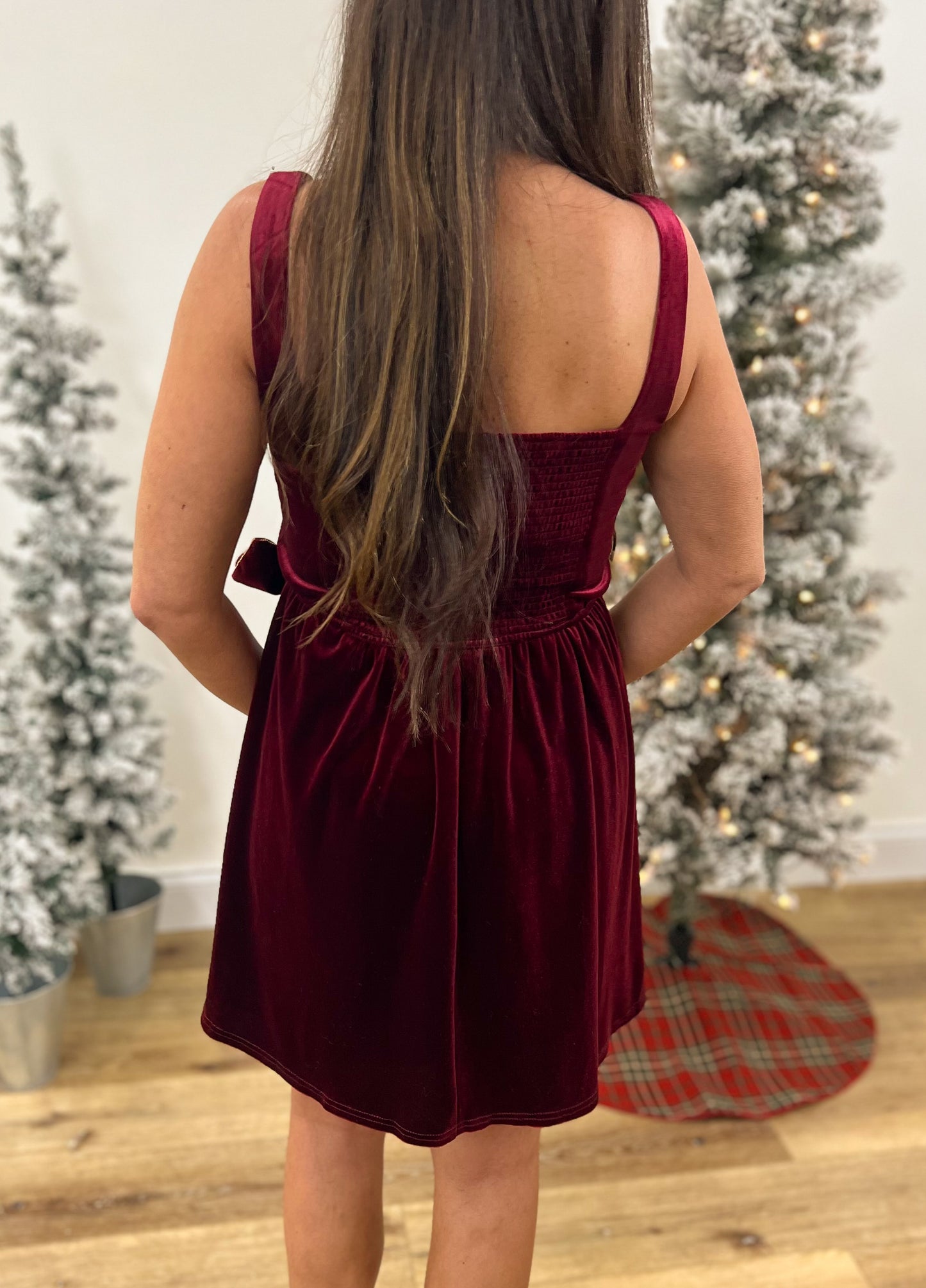 Bejeweled Velvet Dress
